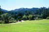 View of Tilden Park from Brazil Room.JPG (454302 bytes)