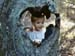 1972 Charles and Heart-shaped Knothole